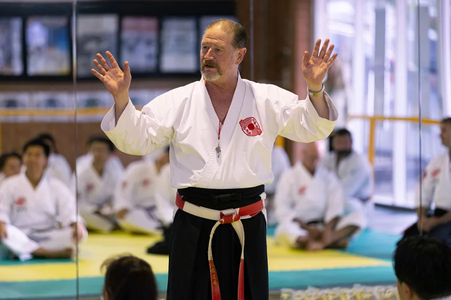 The Karate Institute