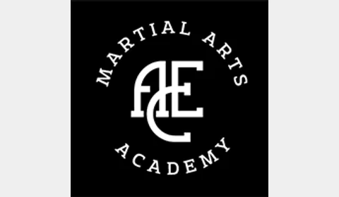 ACE Martial Arts logo