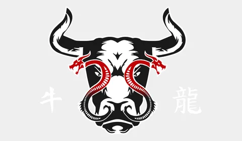 TS BOXING CLUB logo