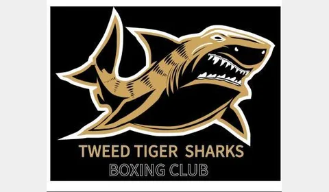 Tweed Tiger Sharks Boxing logo