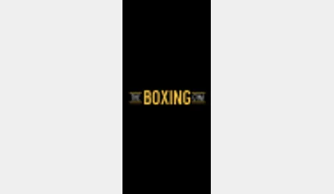 The Boxing Gym logo