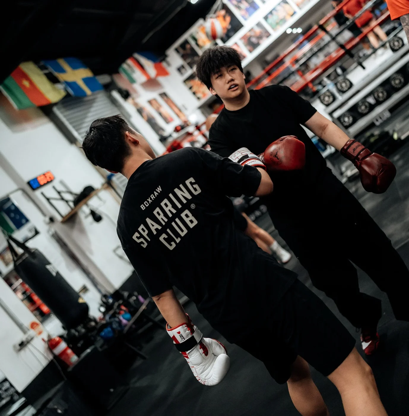 Find your fight team.