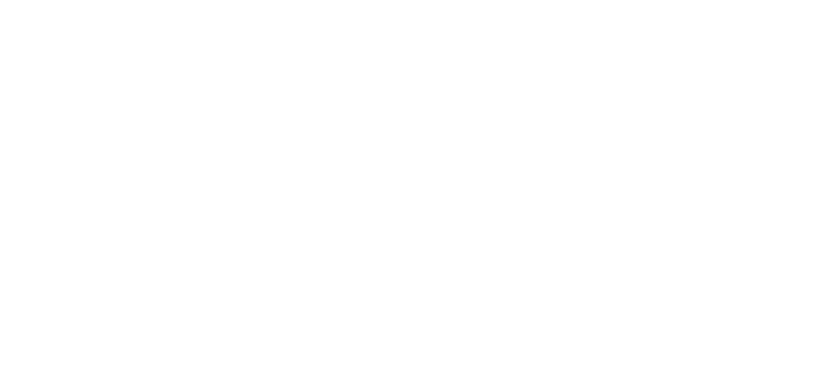 pfl official logo